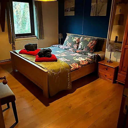 Dog-friendly With Jacuzzi