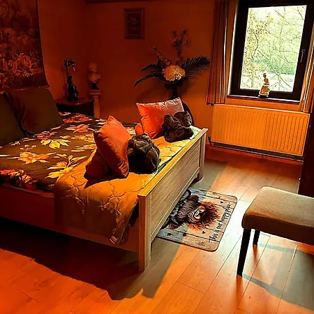 Vakantiehuis Dog-friendly With Jacuzzi *