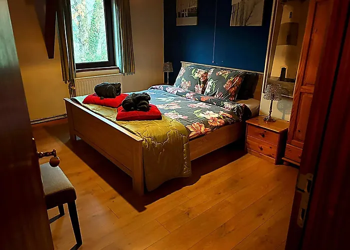 Dog-friendly With Jacuzzi