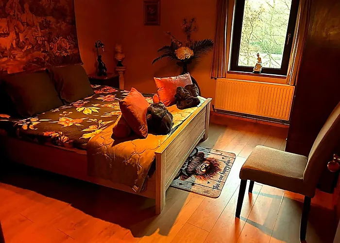 Vakantiehuis Dog-friendly With Jacuzzi *